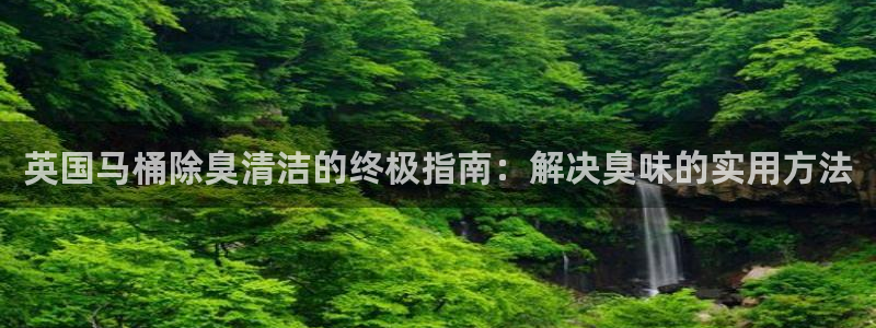 尊龙d88官网登录苹果版下载：英国马桶除臭清洁的终极指南