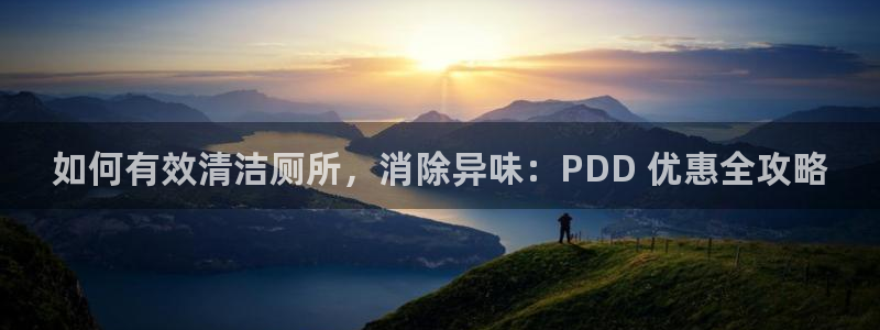 尊龙凯时代理：如何有效清洁厕所，消除异味：PDD 优惠全